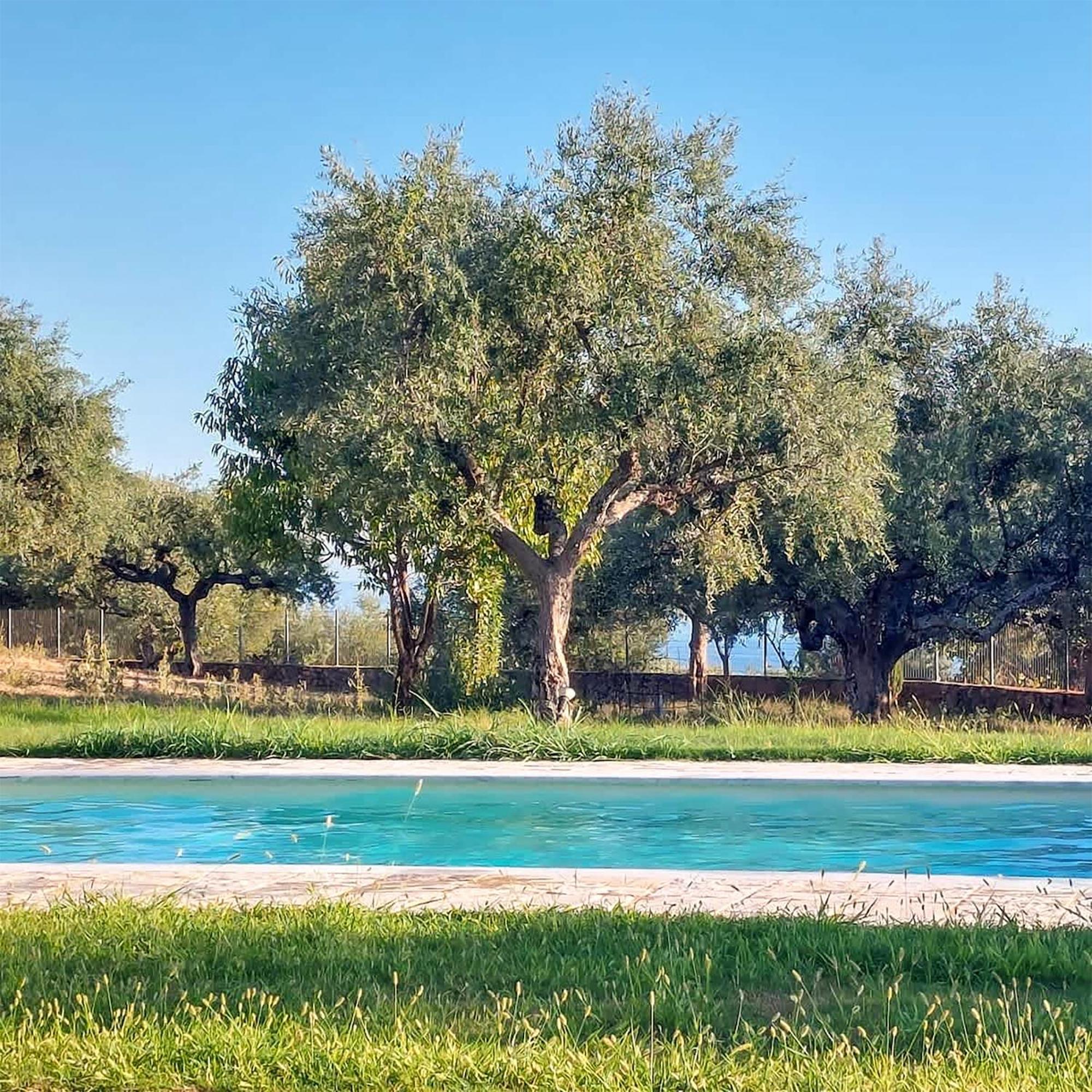 Villa Eleni - Private Pool Bliss Near Kardamili Proástion Dış mekan fotoğraf